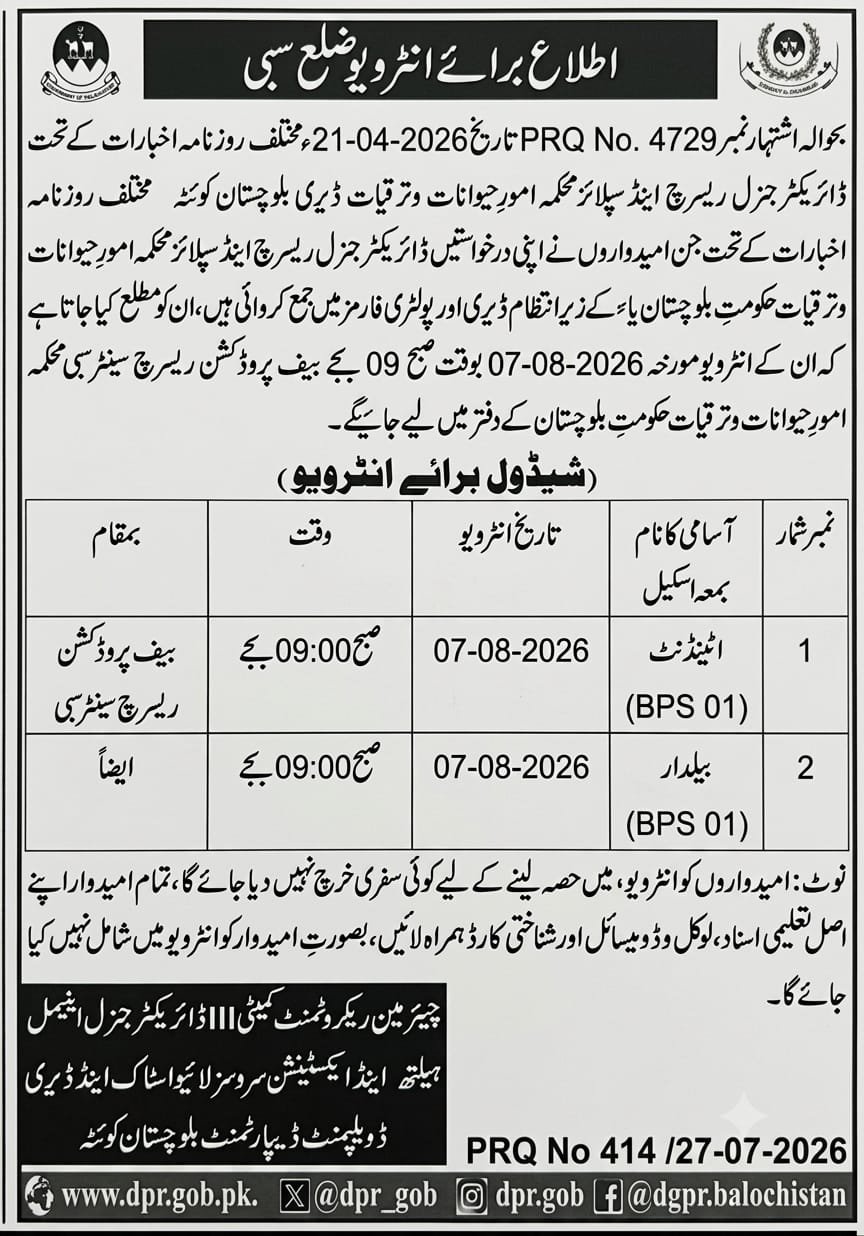 Livestock and Dairy Development Sibi Jobs Interview 2026 — original advertisement