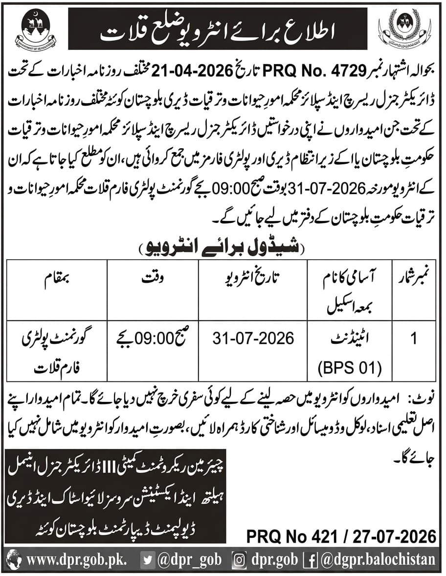 Livestock and Dairy Development Kalat Jobs Interview 2026 — original advertisement