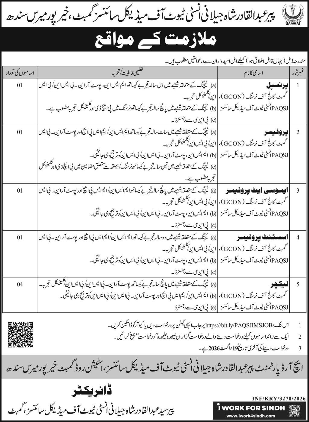 Pir Abdul Qadir Shah Jeelani Institute of Medical Jobs 2026 — original advertisement